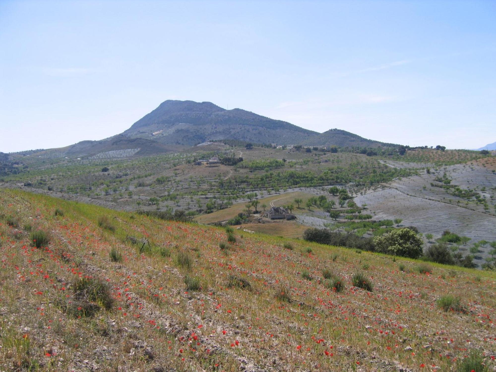 Cortijo La Estrella Apartment Velez Rubio Luaran gambar